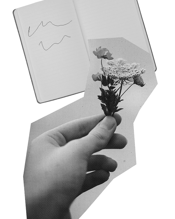 Does Writing by Hand Change How We Think and Learn?