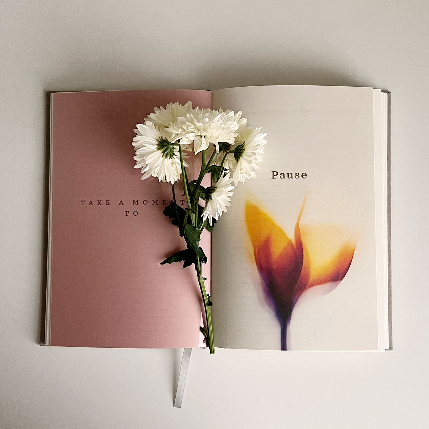 Head & Heart Journal