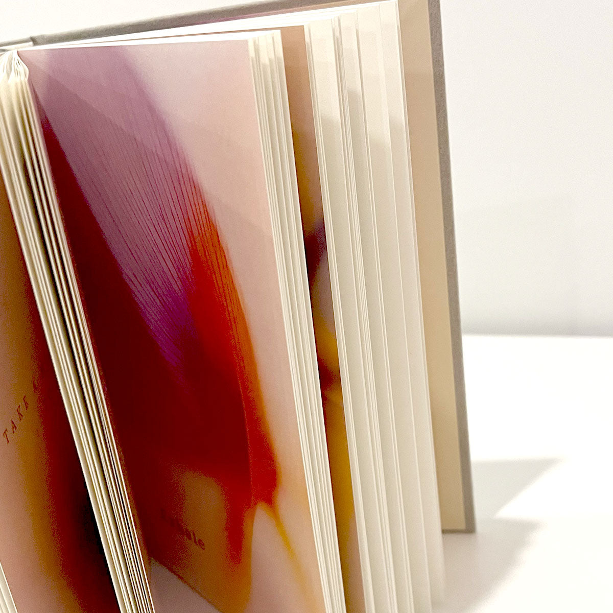 Head & Heart Journal