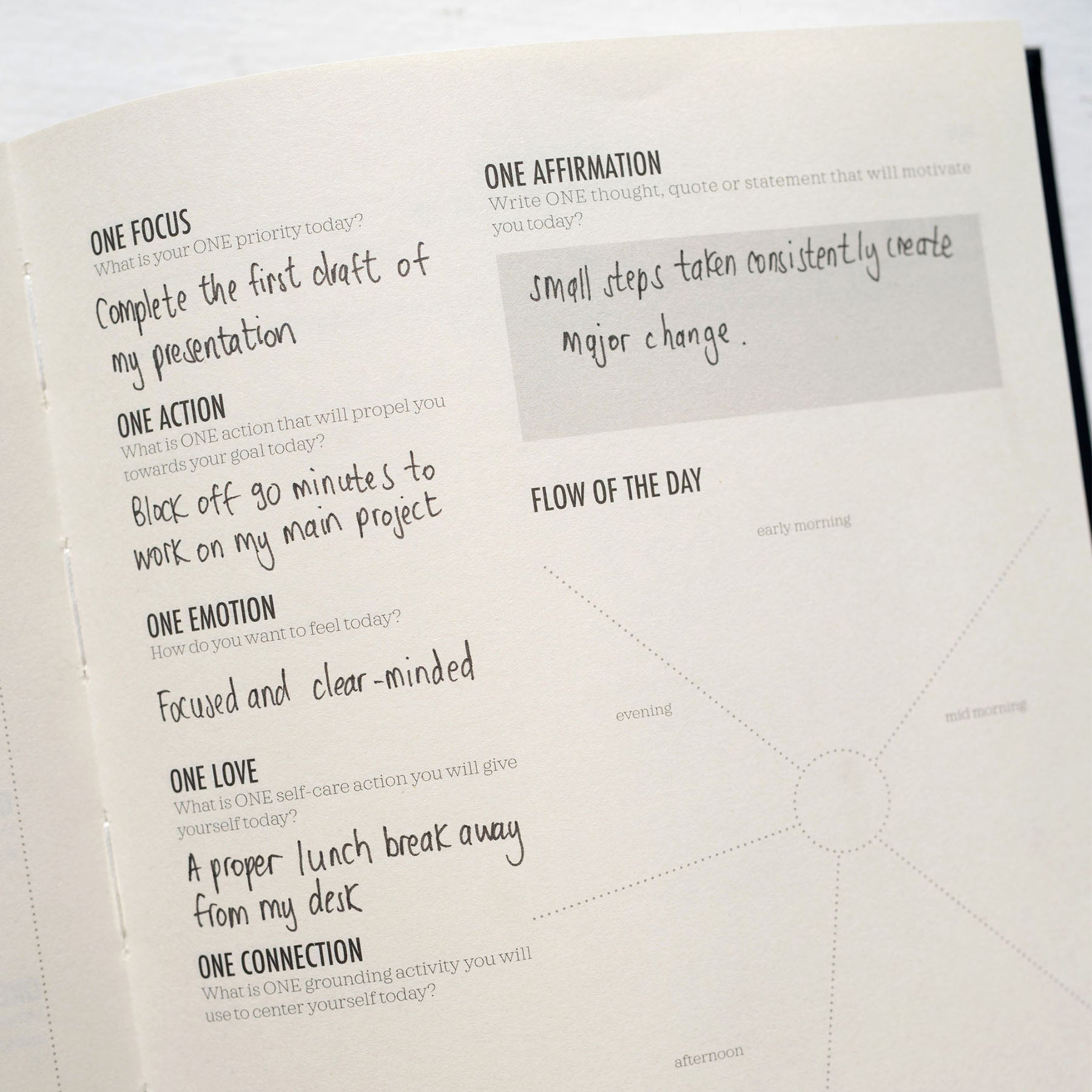 Daily FOCUS Planner